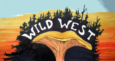 Wildwest2